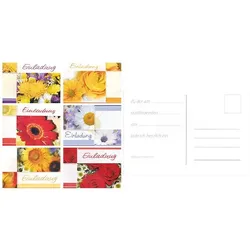 Magni, Grusskarte + Briefpapier, Einladungskarten 100x5 Stück 4fach sortiert (100 Stk.)