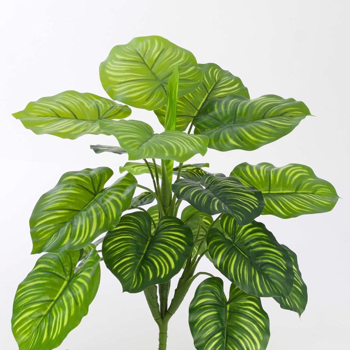 Decoratieve Calathea Kunstplant - Groen - 45 cm
