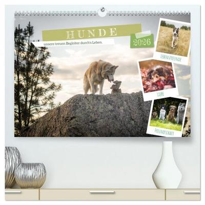 Hunde, unsere treuen Begleiter durch's Leben. (hochwertiger Premium Wandkalender 2026 DIN A2 quer), Kunstdruck in Hochglanz