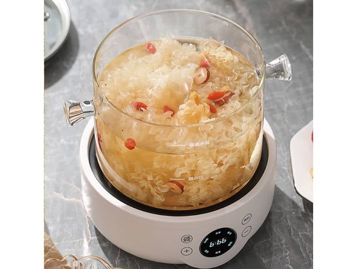 Marmite de santé multifonction 110V/220V, théière en verre, fonction de programmation 9,5h, autocuiseur électrique avec maintien automatique au chaud, bouilloire 1,5L