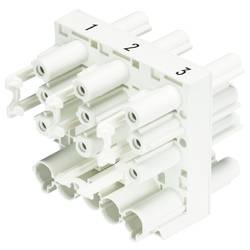 Wieland Electric 92.050.0153.0 Verteiler