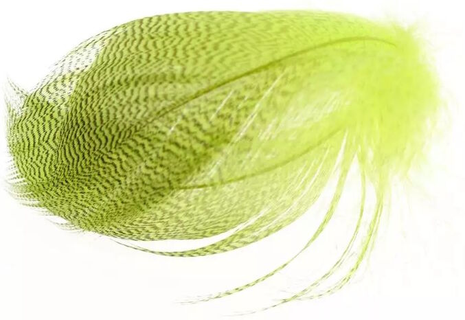 Flyco Mallard Barred Flank-Fluo Yellow