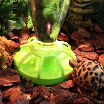 Inspire Curations Lotus Leaf Reptile Water Dispenser With Lizard Water Bottle And Feeding Dish water Feeder
