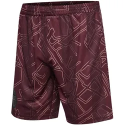 hummel, Unisex, Sporthose, Dänemark Shorts X Halo 2024/25 (L), Rot