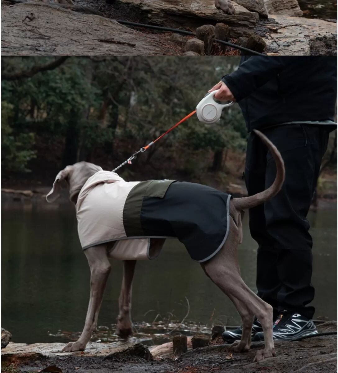 INF Frühjahrs Outdoor Großer Hund Wasserdichte und Winddichte Regenjacke für Haustiere XL