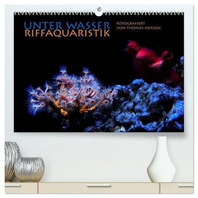 UNTER WASSER Riffaquaristik (hochwertiger Premium Wandkalender 2027 DIN A2 quer), Kunstdruck in Hochglanz