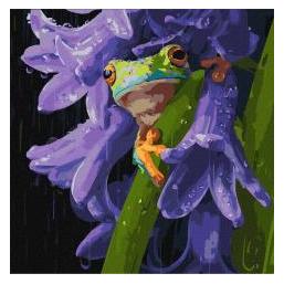 Ideyka Malen nach Zahlen - Frosch im Regen 40x40cm (70187550)