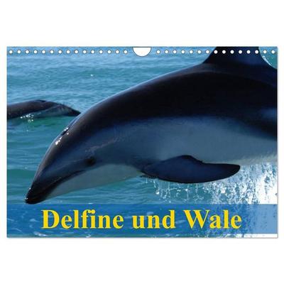 Delfine und Wale (Wandkalender 2027 DIN A4 quer), CALVENDO Monatskalender
