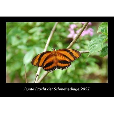 Bunte Pracht der Schmetterlinge 2027 Fotokalender DIN A3