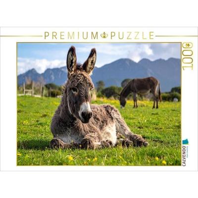 CALVENDO Puzzle Mittagspause - Esel auf der Koppel | 1000 Teile Lege-Größe 64x48cm Foto-Puzzle für glückliche Stunden