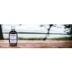 Darm & Verdauung Extrakt 500ml