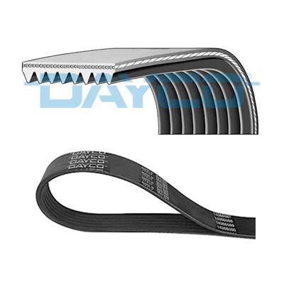 DAYCO Keilrippenriemen 8pk1790hd für FREIGHTLINER