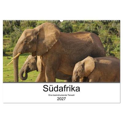 Südafrika - Eine beeindruckende Tierwelt (Wandkalender 2027 DIN A2 quer), CALVENDO Monatskalender