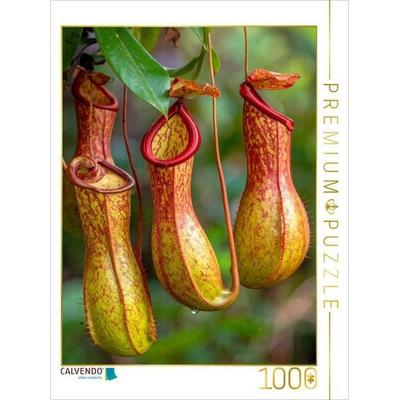 CALVENDO Puzzle Fleischfressende Kannenpflanzen | 1000 Teile Lege-Größe 64x48cm Foto-Puzzle für glückliche Stunden