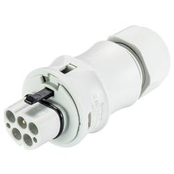 Wieland Electric 96.042.4053.0 Steckverbinder