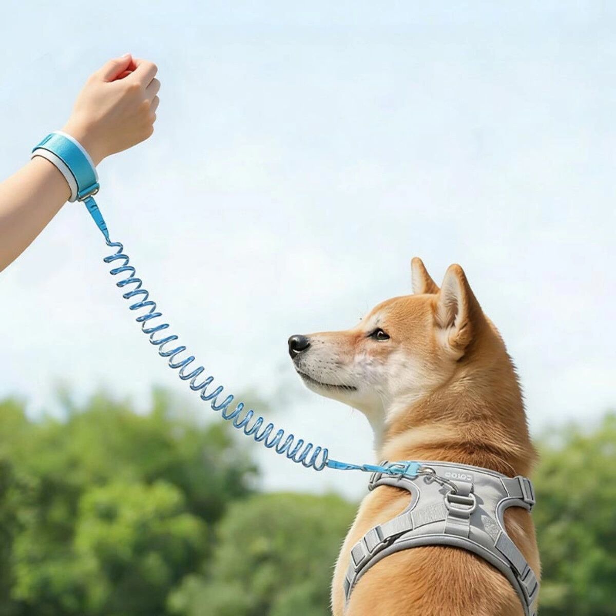 INF Laisse poignet réfléchissante 1.5m - Laisse mains-libres rembourrée avec anneau rotatif 360° Orange