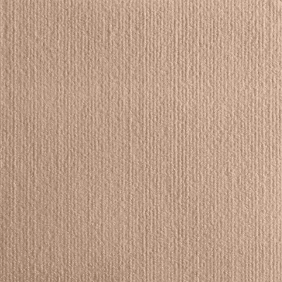Inspire Curations ScratchShield Self Adhesive Cat Scratch Furniture Protector khaki 30x100cm