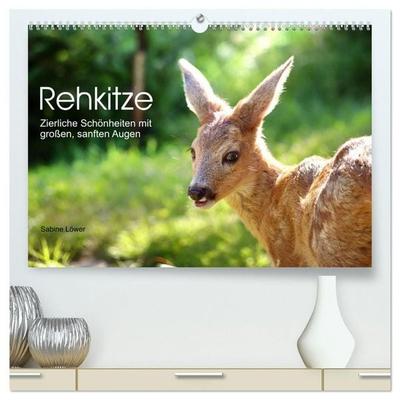 Rehkitze, zierliche Schönheiten mit großen, sanften Augen (hochwertiger Premium Wandkalender 2027 DIN A2 quer), Kunstdruck in Hochglanz