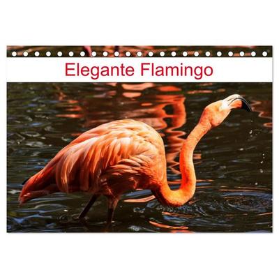 Elegante Flamingo (Tischkalender 2026 DIN A5 quer), CALVENDO Monatskalender