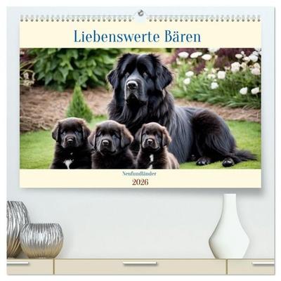 Neufundländer - Liebenswerte Bären (hochwertiger Premium Wandkalender 2026 DIN A2 quer), Kunstdruck in Hochglanz