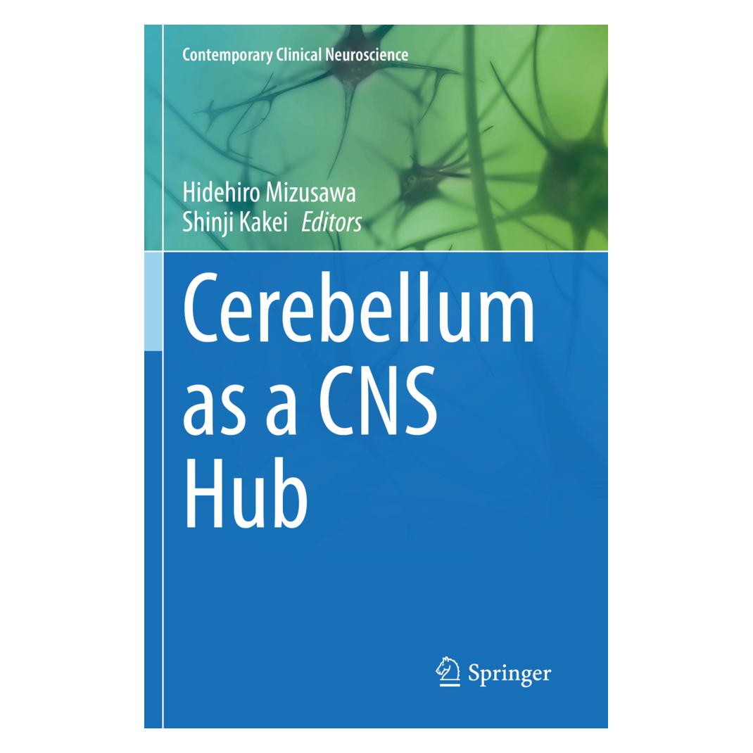 Springer Cerebellum as a CNS Hub (Englisch, Softcover, Hidehiro Mizusawa, Shinji Kakei) (56905999)