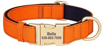Inspired Finds Personalized Waterproof Nylon Dog Collar With Free Engraving orange m