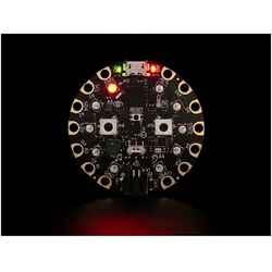 Adafruit Circuit Playground Classic (Elektronikkit), Elektronikmodul