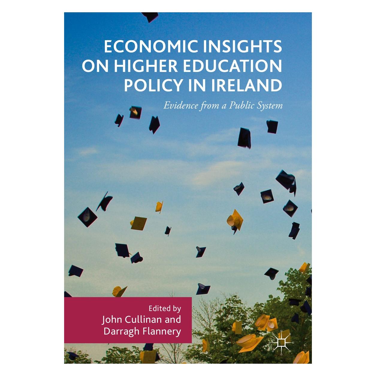Springer Economic Insights on Higher Education P (Englisch, Hardcover, Darragh Flannery, John Cullinan) (9783319485522)