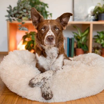 PetsAreLife Comfy Faux Fur Pet Bed White small Medium