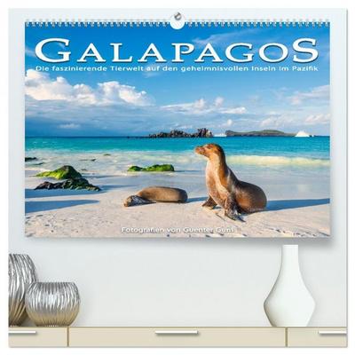 Die faszinierende Tierwelt der Galapagos-Inseln (hochwertiger Premium Wandkalender 2026 DIN A2 quer), Kunstdruck in Hochglanz