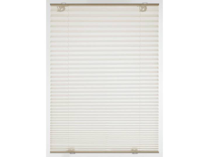 Plissee GARDINIA Plissee Solo mit Saugnäpfen Gr. 3, beige (creme), B:60cm H:130cm, Obermaterial: 100% Polyester, Plissees, Plissee, mit integrierter Schnurführung, Topseller