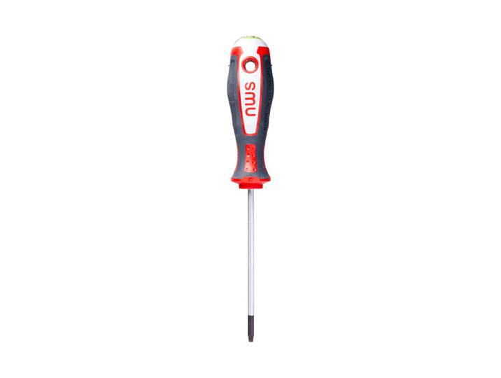 NWS Torx-Schraubendreher