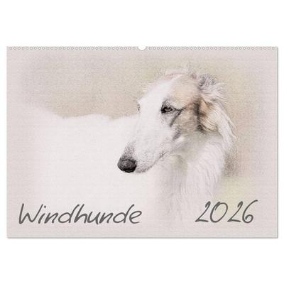 Windhunde 2026 (Wandkalender 2026 DIN A2 quer), CALVENDO Monatskalender