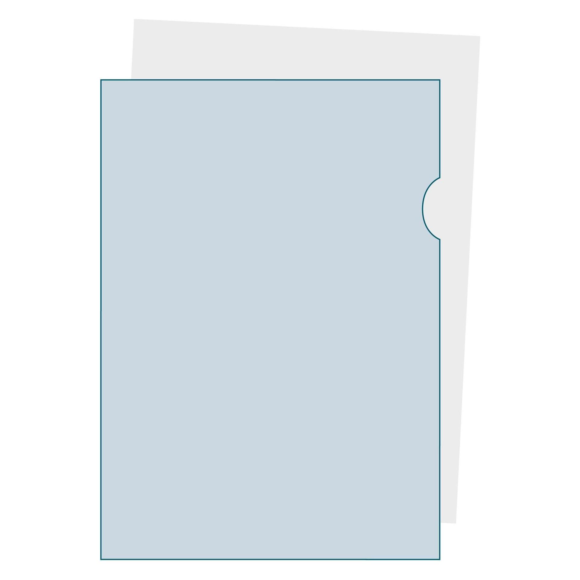 Exacompta Sichthülle Advanced A4, 10 Stück, Transparent (A4) (5610E)