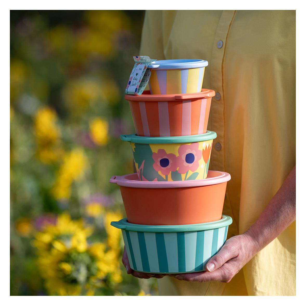Koziol Schale Nora Box Stripes 11 cm, 1 Stück, Sweet Blue (11 cm, 0.25 l, 1x) (8164720)