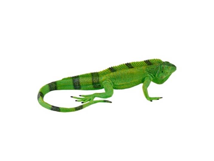 Mojo Wild Life Leguaan 381095