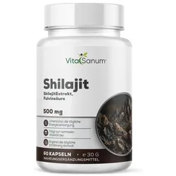 VitaSanum®- Shilajit – 1000 mg Tagesportion (2 Kapseln)