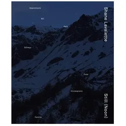 Still (Noon), Fachbücher von Shane Lavalette