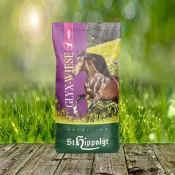 St. Hippolyt Glyx Wiese Müsli 15 kg