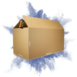PROREGAL 1x Versandkarton 2-wellig | LxBxH 1200 x 600 x 600 mm | Mit Höhenriller & Belastbar bis 30 kg | Faltkarton Karton Paket für Versand mit DHL