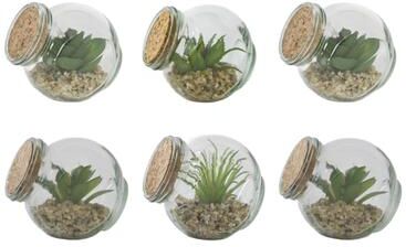 IH Casa Decor Succulent In Glass Vase With Cork Asstd - Set of 6