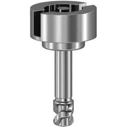 Schneider Electric Doppelbart-Schraube NSYAEDSBSB