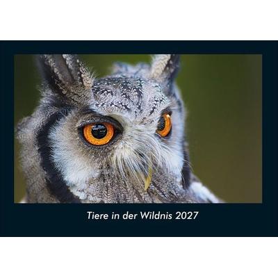 Tiere in der Wildnis 2027 Fotokalender DIN A4