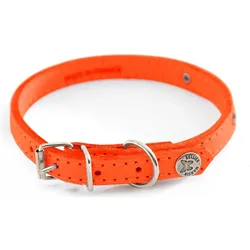 Martin Sellier Hundehalsband mit Steppnähten und Platte (Hund, Allgemein), Halsband + Leine