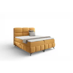 BOXBETT Charlie Premium