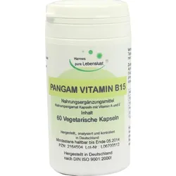 Pangam Vitamin B15 60 ST