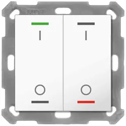 Taster Light 55 2-fach, RGBW, mit Temperatursensor, Reinweiß glänzend, Schalten MDT