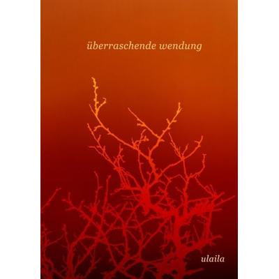 überraschende wendung, Gebundene Ausgabe von . Ulaila, Tredition, 978-3-347-78469-7