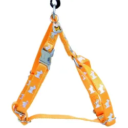 Image Happy Angel (M, Hund, Allgemein, Spazieren), Halsband + Leine
