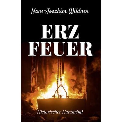 Erzfeuer, Taschenbuch von Hans-Joachim Wildner, Elektronik-Praktiker